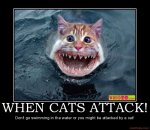when-cats-attack-cat-shark-attack-swimming-ocean-teeth-demotivational-poster-1211269586.jpg