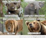 funny-kolala-elephant-lion-bear-pictures.jpg