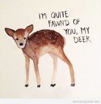 Funny-oh-deer-saying.jpg