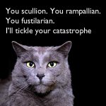 catas.jpg