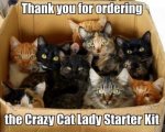 crazy-cat-lady-kit.jpg