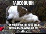 35010_120327092244-funny-cat-pictures-facecouch.jpg