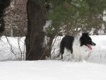 IMG_9234.jpg