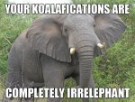 koalifications.jpg