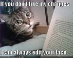 20090108213751_funny-pictures-cat-threatens-to-edit-your-face.jpg