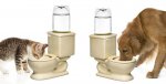 toilet-bowl-dog-cat-water-fountain.jpg