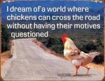 chickens03.jpg