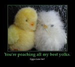 chickens.jpg