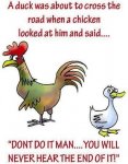 chicken04.jpg