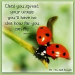 31384bb8a7294df0dd6b60d293dafd82.jpg