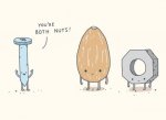 both nuts.jpg