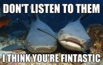 Fintastic Shark.jpg