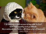 Animals Better.jpg