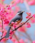 bird in tree.jpg