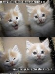 c7e8cf80c58bc1d9380965fee1751f7a.jpg