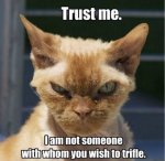scary-cat.jpg