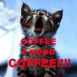I Need Coffee.jpeg
