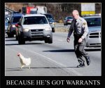 chicken-crossing-the-road.jpg
