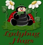 Ladybug Hugs.jpg