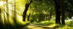 green-nature-dual-monitor-other.jpg