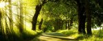 green_nature_dual_monitor-other.jpg