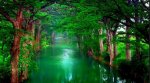 green forest and river.jpg
