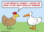 chicken_cross_road_husband_505755.jpg