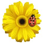 daisy-lb.gif~c200.gif