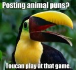 toucan.jpg