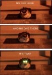 scary-cats-funny-pictures.jpg