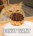 Donut Want.jpg