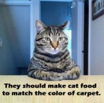 cat5.jpg