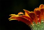tumblr_m5m811ui8j1qaidj6.jpg