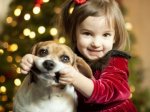 Cute-Christmas-Animals-31-630x468.jpg