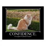 confidence_cat_artwork_funny_print-rc770b32e6314485e99729f2dcd526e17_wv3_8byvr_512.jpg