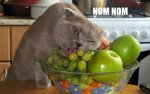 fruitdiet.jpg fruitdiet.jpg