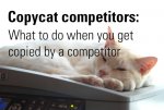 Copycat Competitors.jpg