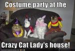 crazy-cat-lady-has-a-sewing-machine-apparently.jpg