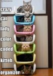 for-the-most-organized-crazy-cat-lady.jpg