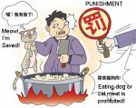 China-Dog-Cat-Meat-Prohibited.jpg