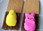 670px-Make-Easter-S'mores-With-Peeps-Step-3.jpg