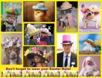 easter_hats.jpg