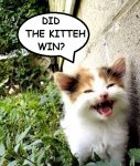 kitteh.jpg kitteh.jpg
