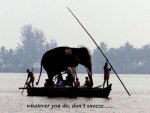 boatzee.jpg boatzee.jpg