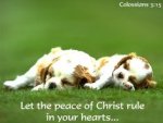 Galatians 3v15.jpg