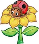 ladybug on sunflower.jpg