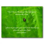 ladybug_encouragement_post_card-r1ab0e1163bff4d269dc9cdee247dd0b4_vgbaq_8byvr_512.jpg