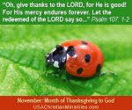 Ladybug300_250.jpg