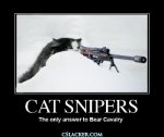 Nemo_CatSniper.jpg