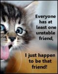 Funniest-cats-quotes.jpg